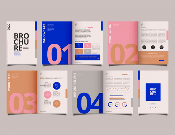 Brochure and Letterhead Design