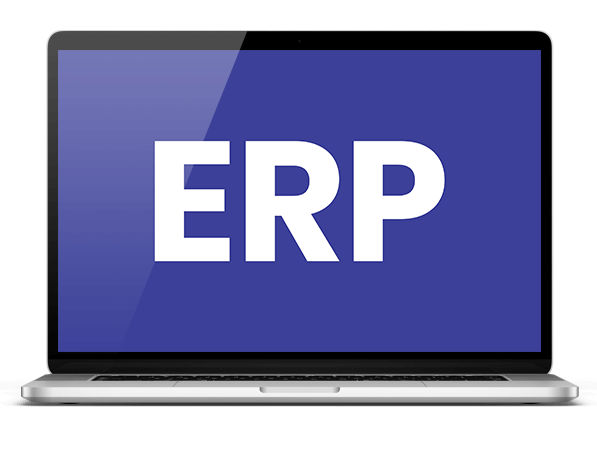 ERP Software Development