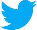 Twitter Paid Advertising twitter-logo